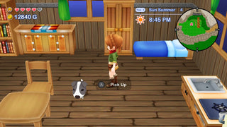 Harvest Moon: The Lost Valley & Skytree Village Nintendo Switch with FREE Acrylic Standee