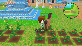 Harvest Moon: The Lost Valley & Skytree Village Nintendo Switch with FREE Acrylic Standee