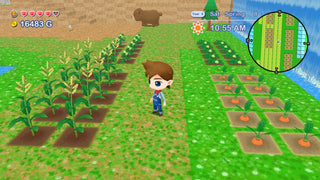 Harvest Moon: The Lost Valley & Skytree Village Nintendo Switch with FREE Acrylic Standee