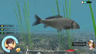 Reel Fishing: Days of Summer Video Game