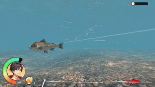 Reel Fishing: Days of Summer Video Game