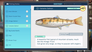 Reel Fishing: Days of Summer Video Game