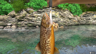 Reel Fishing: Days of Summer Video Game